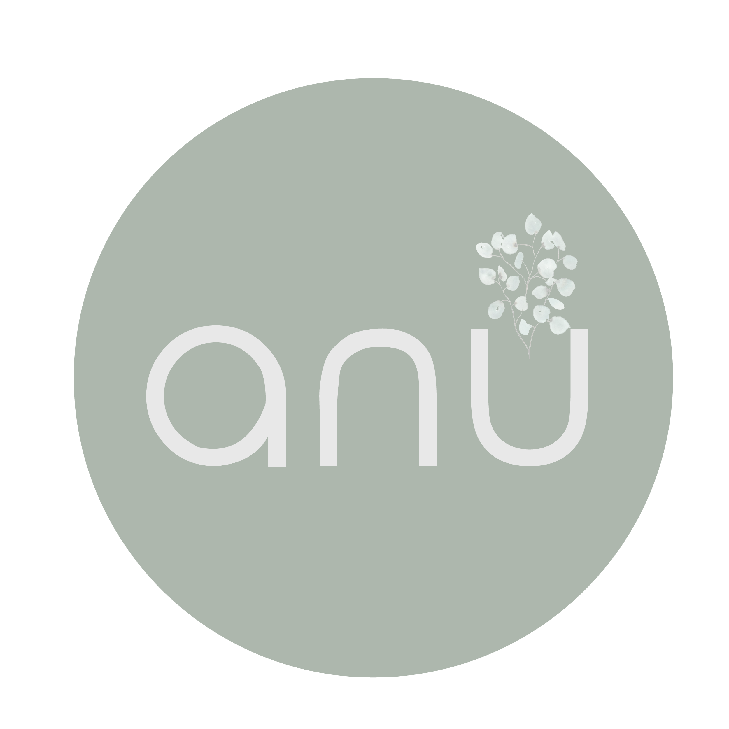 ANU logo